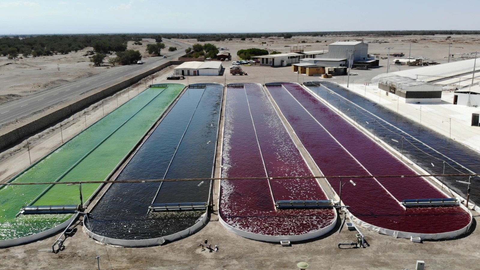 WhatsApp Image 2025-09-05 at 10.22.11 AM (1)