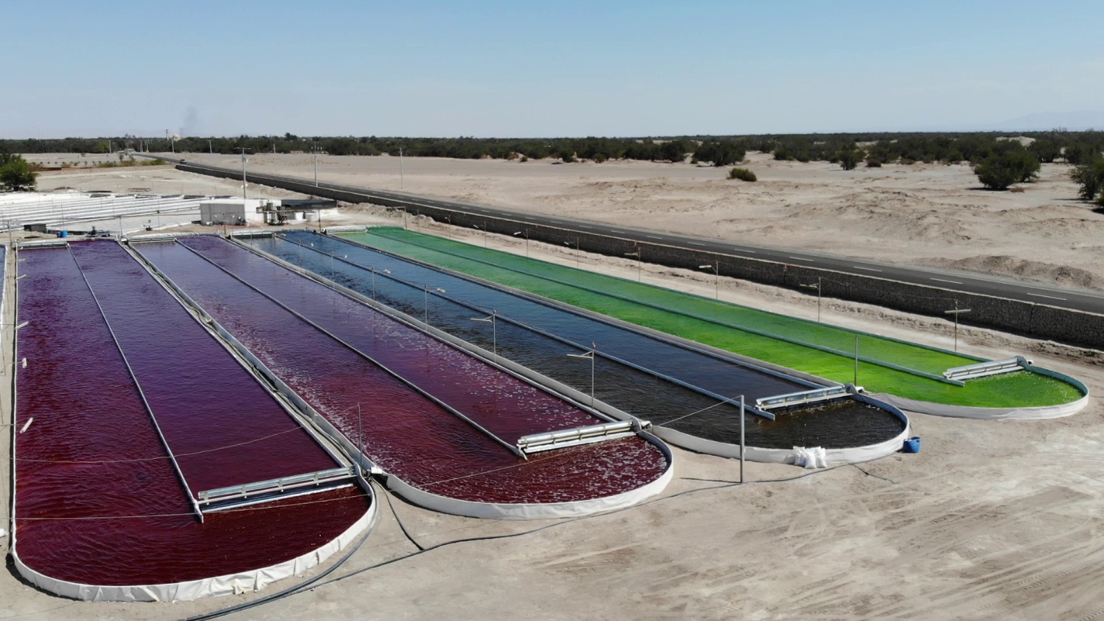 WhatsApp Image 2025-09-05 at 10.22.11 AM (2)