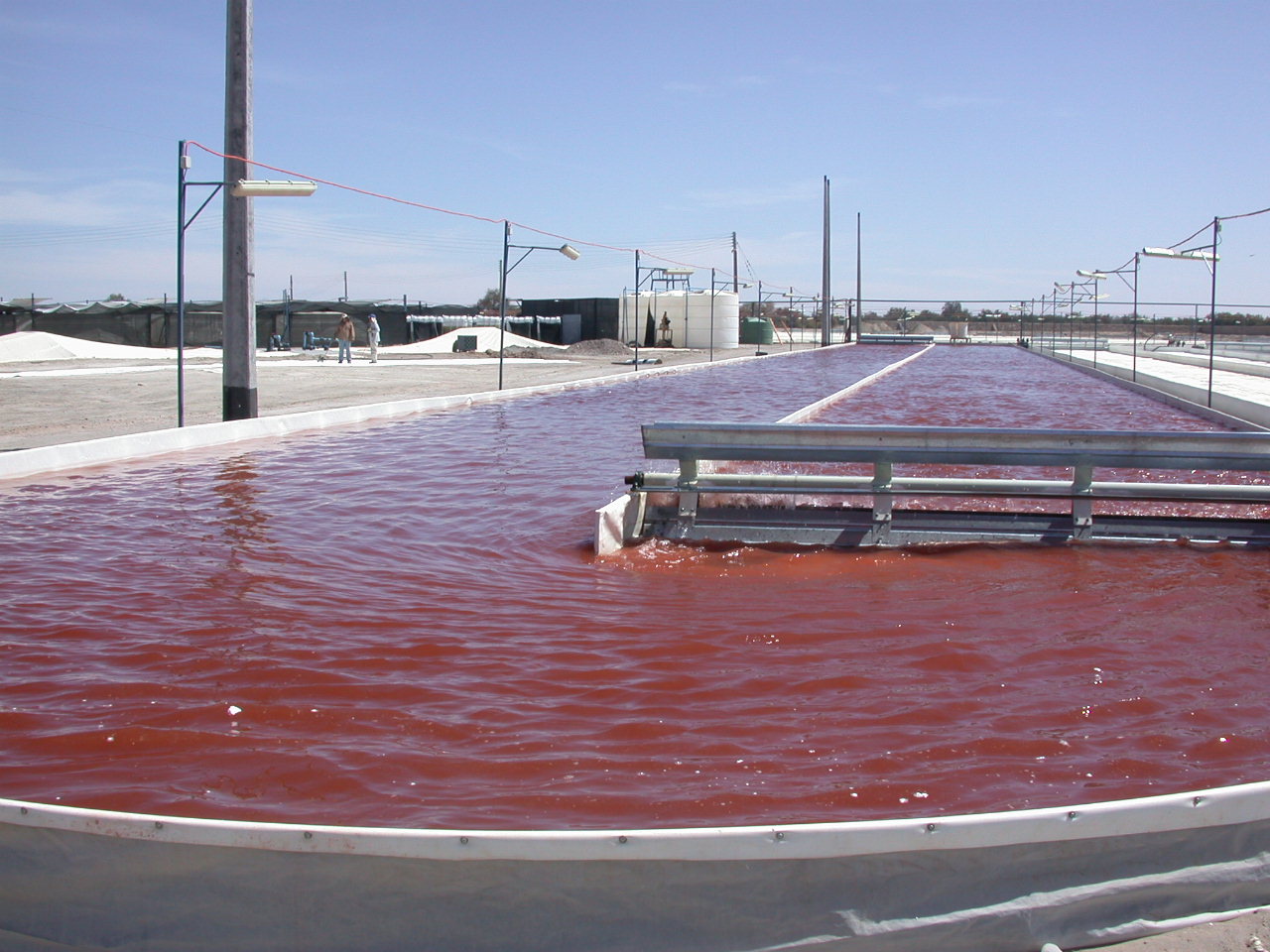 WhatsApp Image 2025-09-05 at 10.22.11 AM