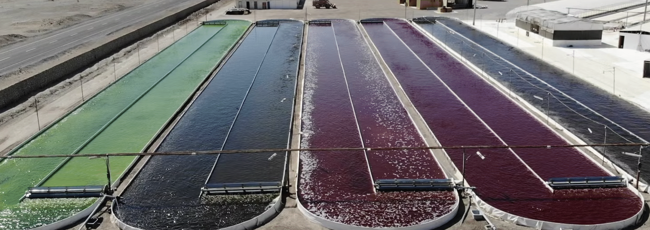 Captura de pantalla 2025-09-08 a las 10.35.08 a. m.