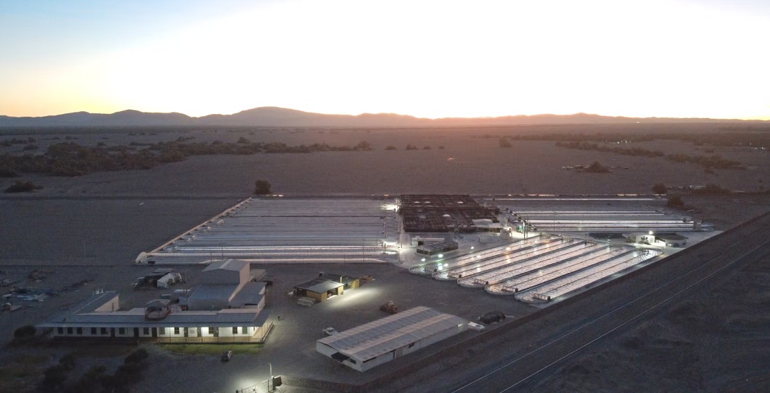 WhatsApp Image 2025-09-03 at 11.42.58 AM (1)